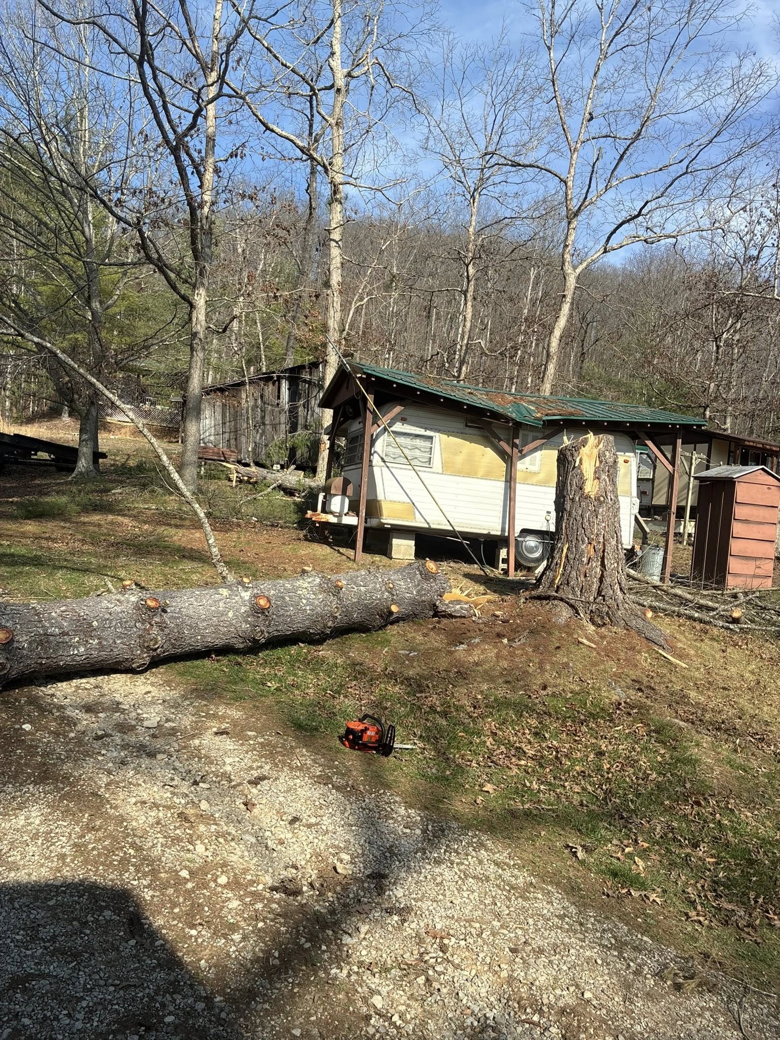  for Skys The Limit Tree Management in Morehead, KY