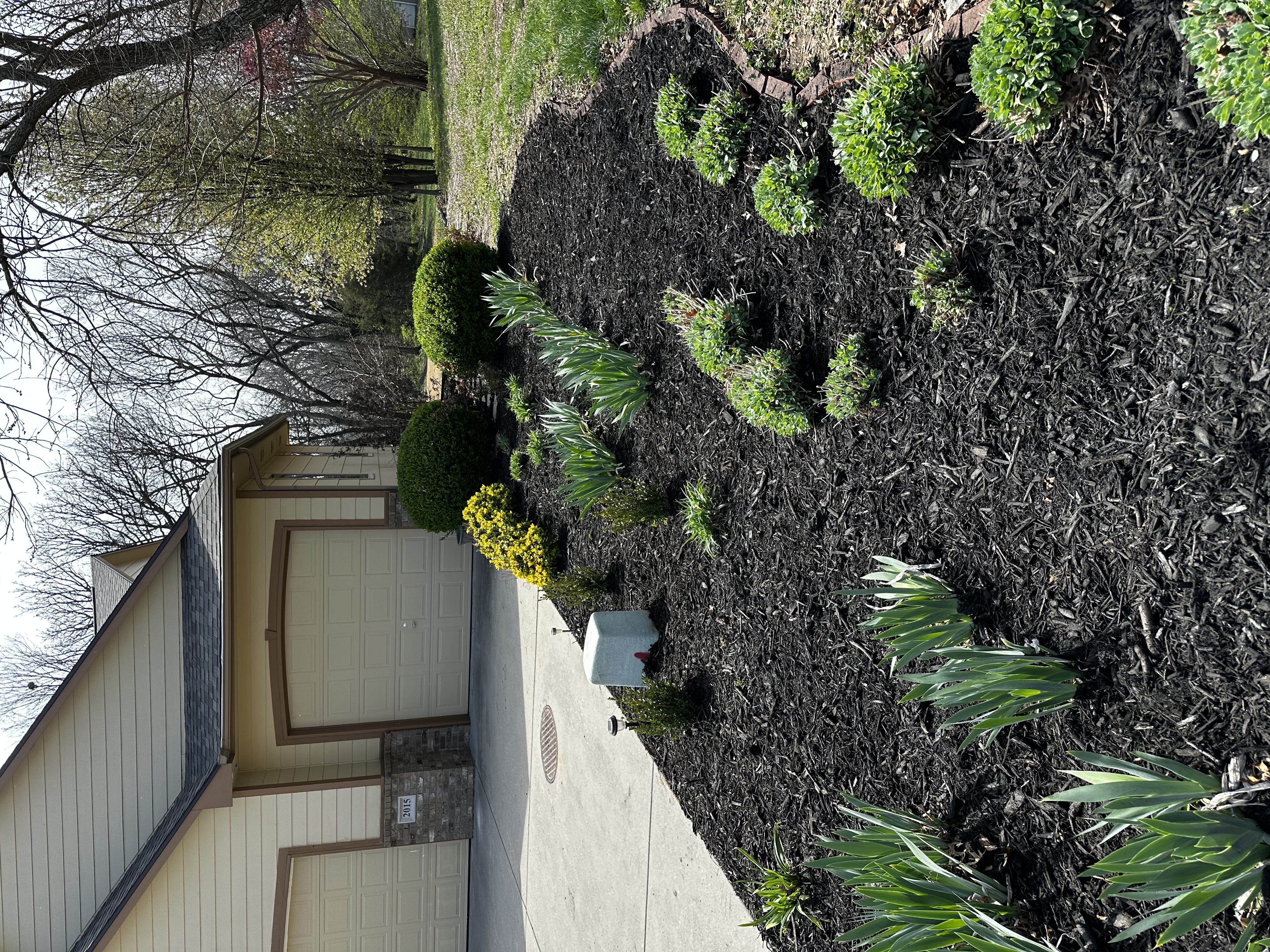 Landscape Installation