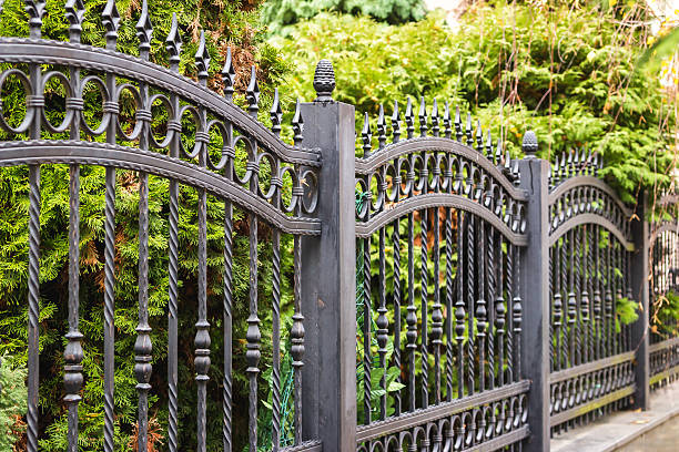 Custom ornamental iron walkthrough gate