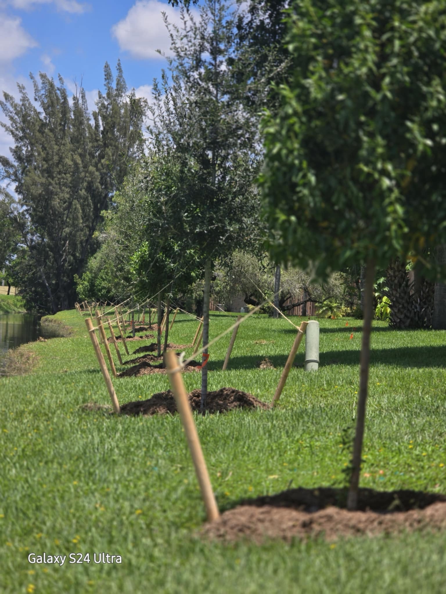  for Bridgewater Arbor Care LLC in Jupiter, FL