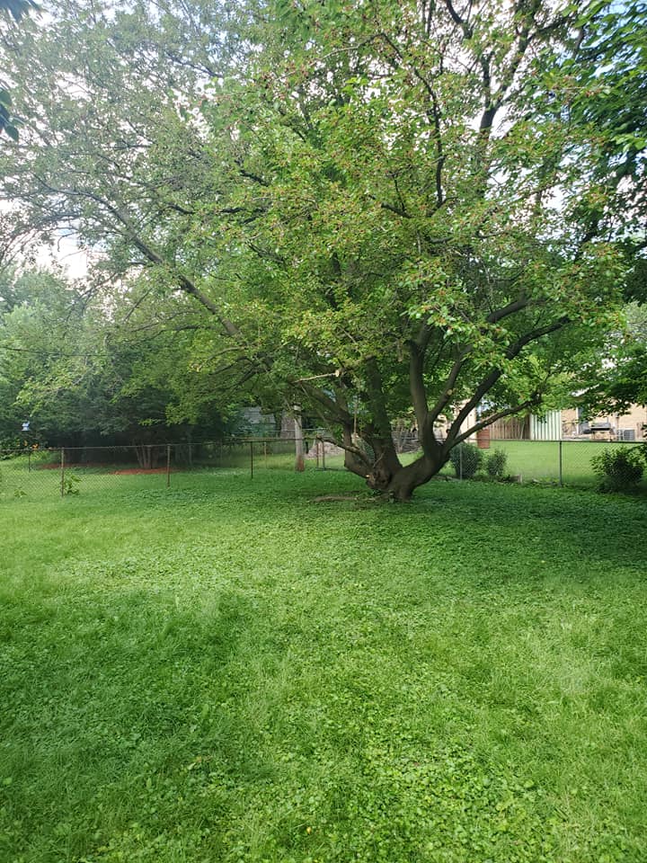  for Henry's Lawn Care in Rockford, IL