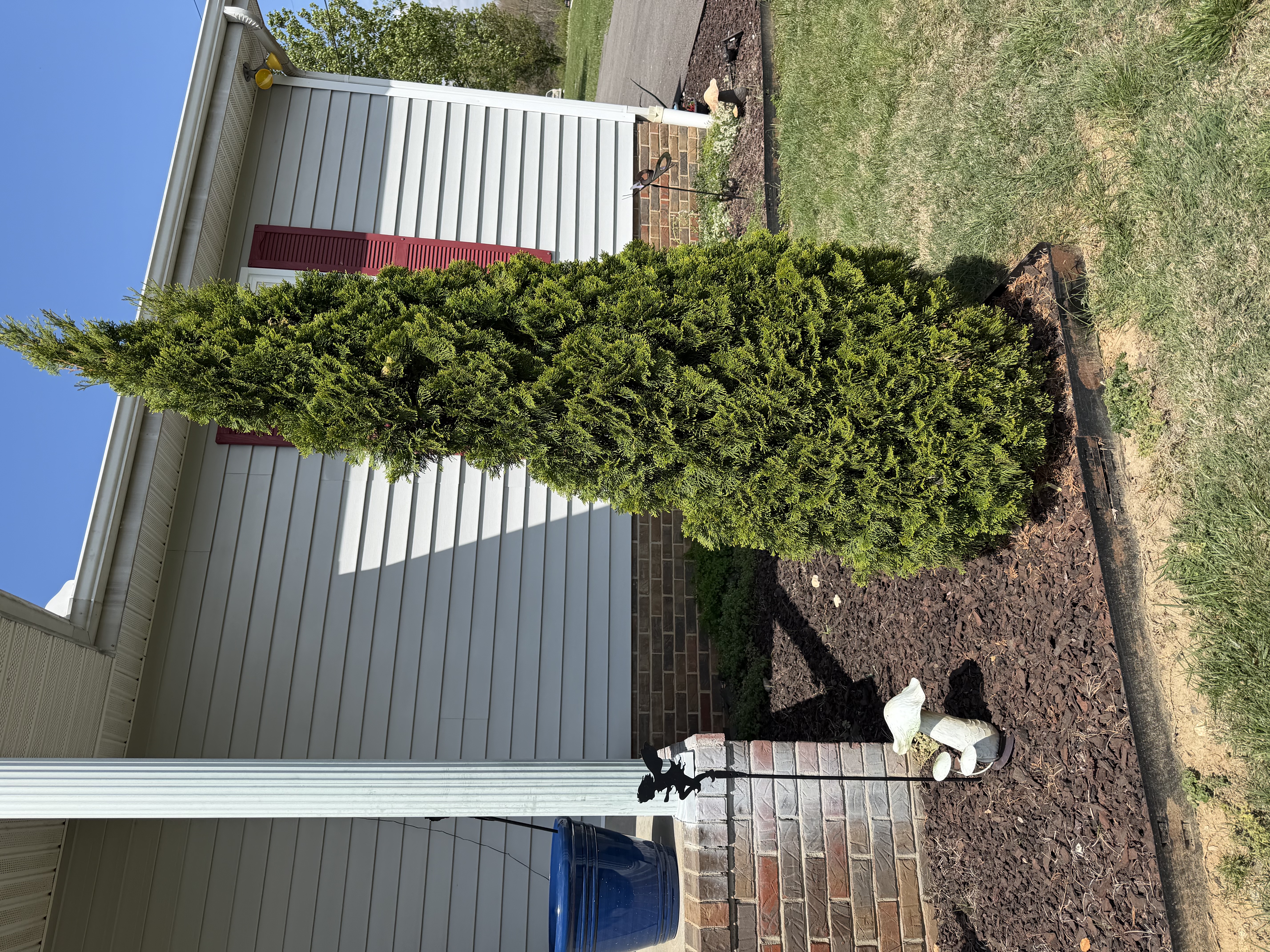  for Shaffer Solutions in Manchester, TN