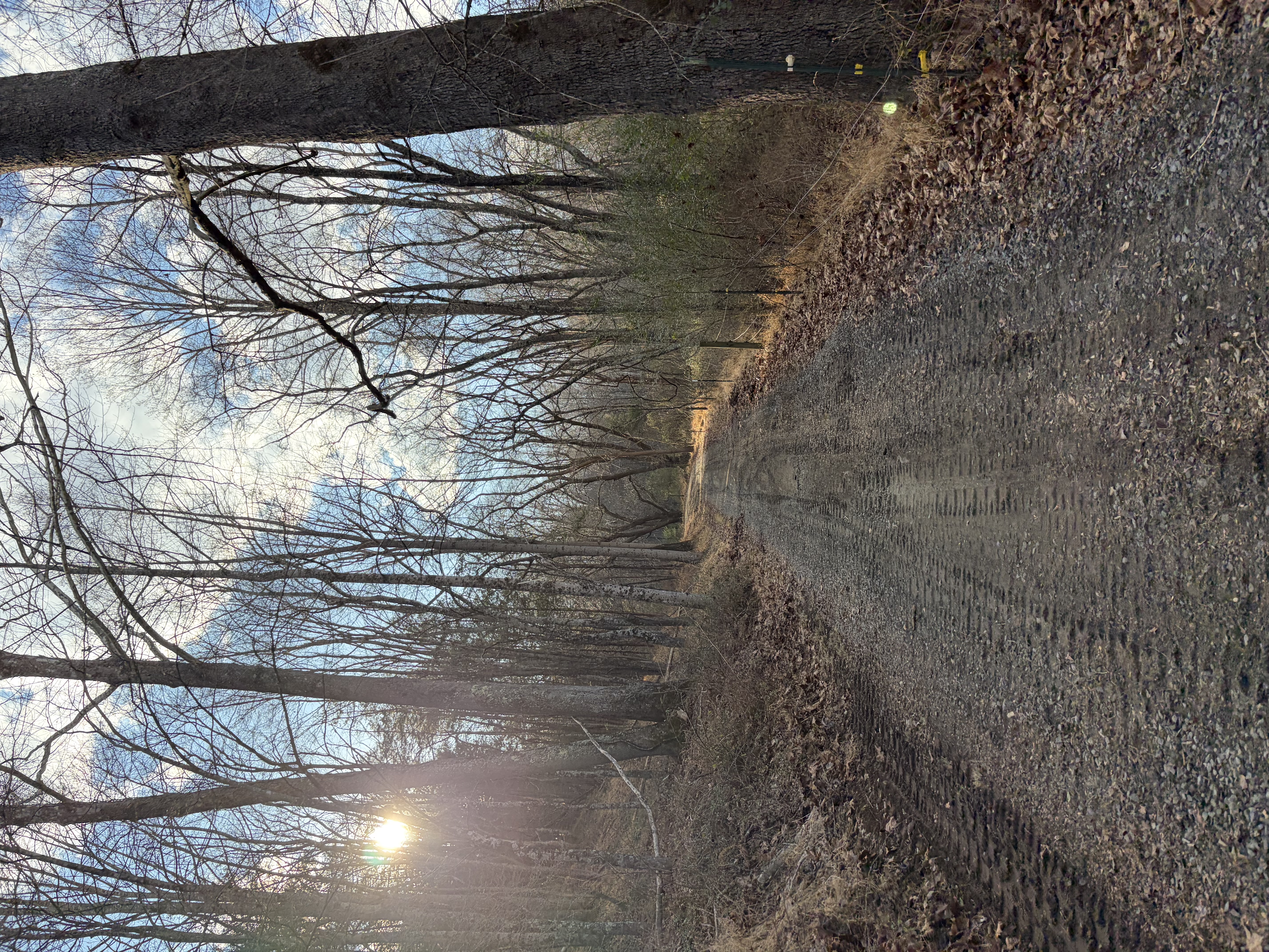  for 9999 Building and Renovation LLC in Warrenton, VA