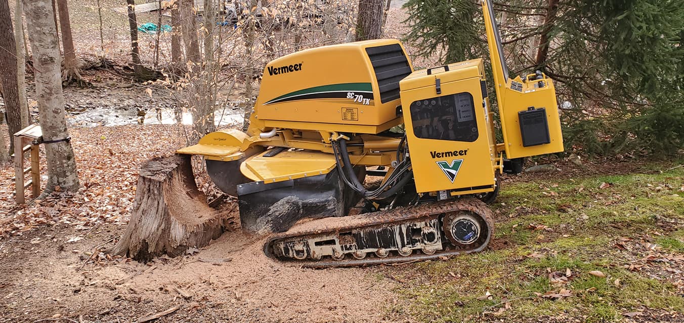 W D Giampa Lawns and Landscape Inc. team in Manassas, VA - people or person