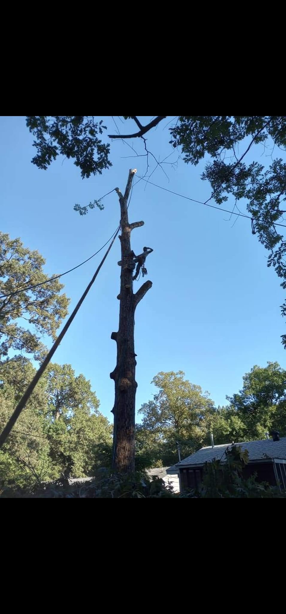 Millers Tree Service team in Saline County, AR - people or person