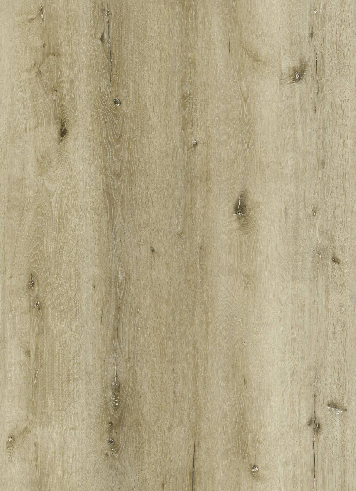  for Faith Friendly Flooring in Dalton, GA