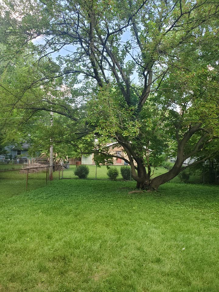  for Henry's Lawn Care in Rockford, IL