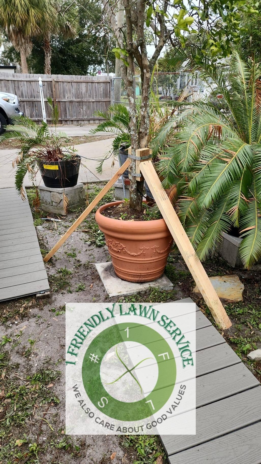  for 1 Friendly Lawn Service  in Tampa, FL