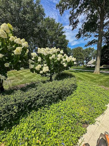  for Newtons Lawncare LLC in North Ridgeville, OH