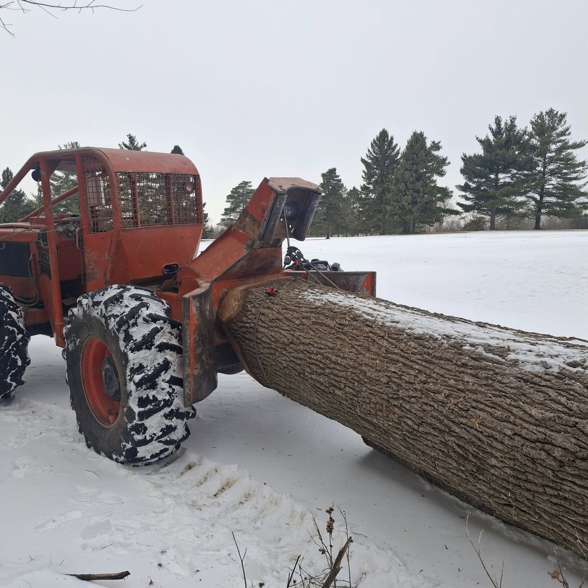  for God's Country Timber Management in Hillsdale, MI