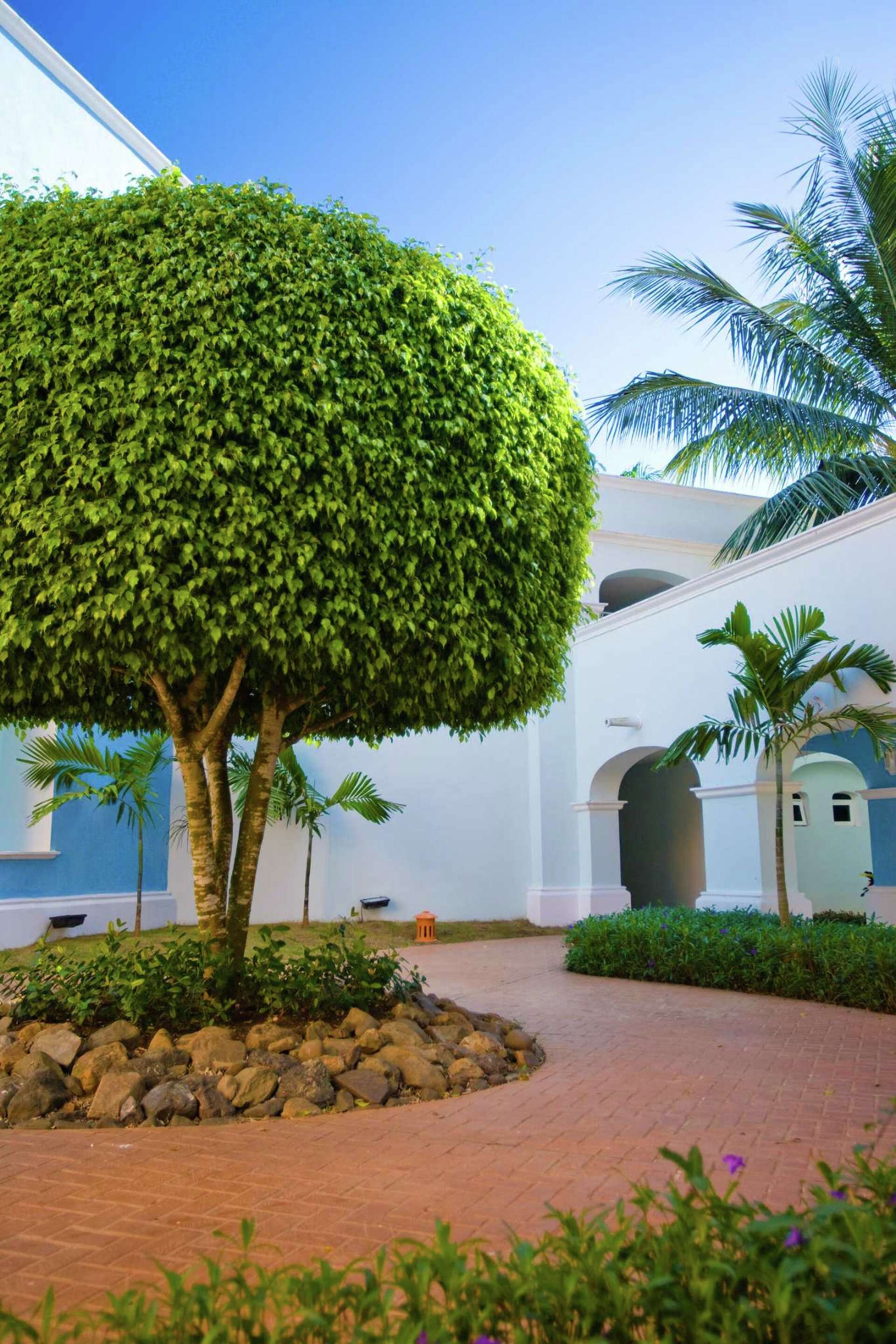  for Cheap Jimm Tree Services in High Point, NC