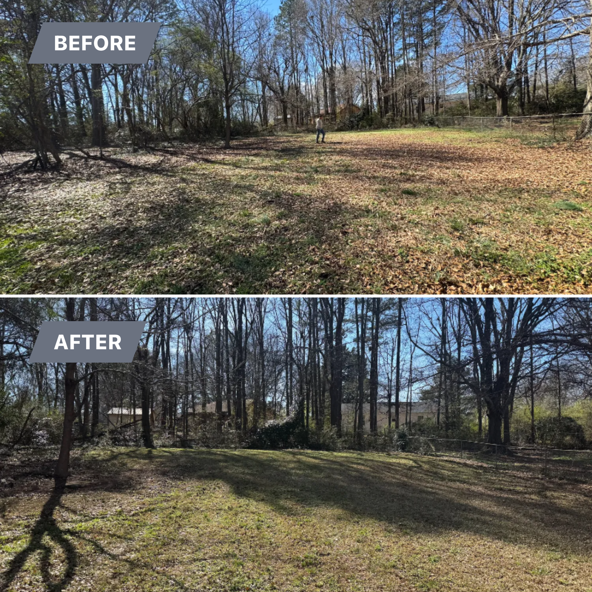  for Tri-P Services in Athens, GA