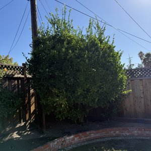 for CBA Landscaping in Hayward, CA
