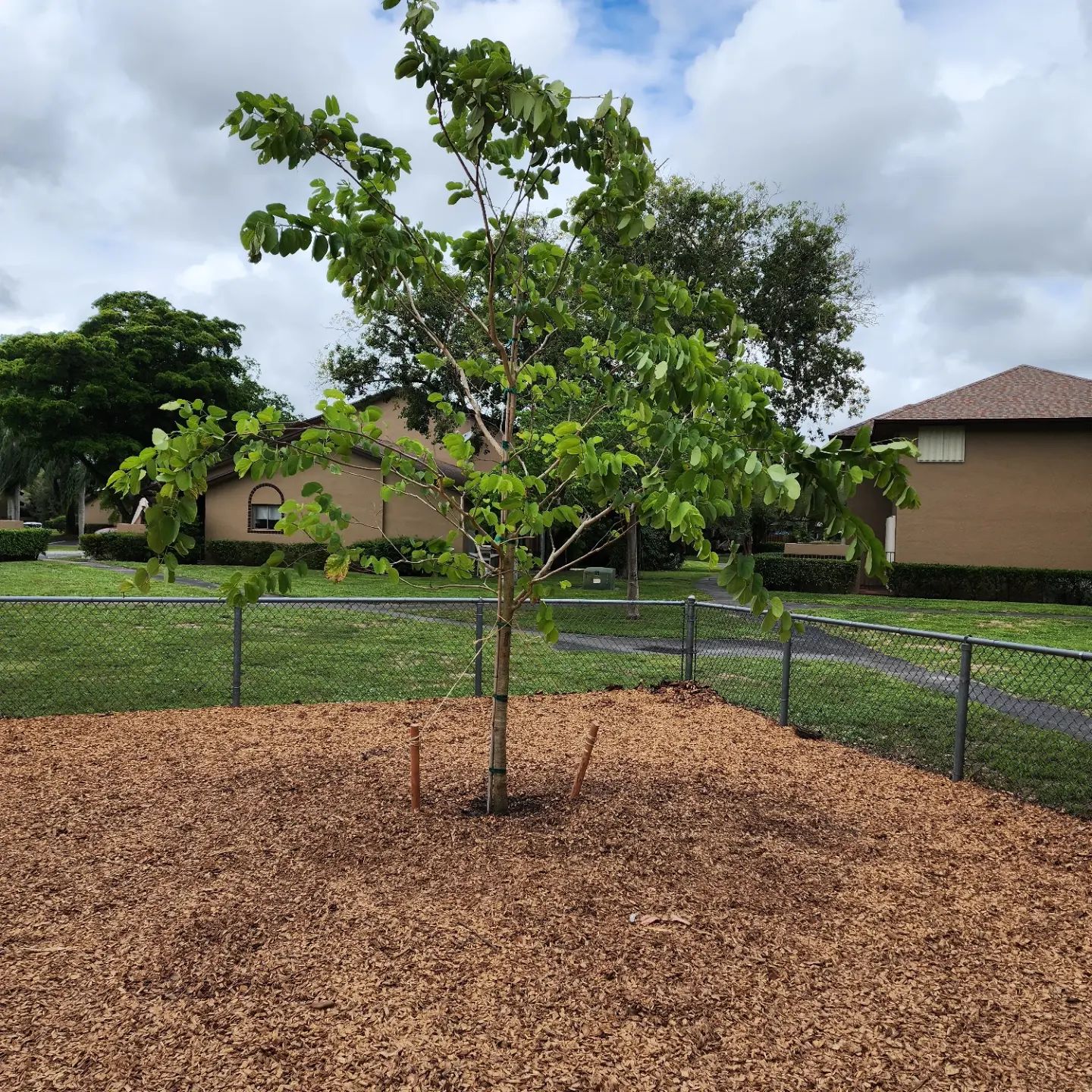  for Bridgewater Arbor Care LLC in Jupiter, FL