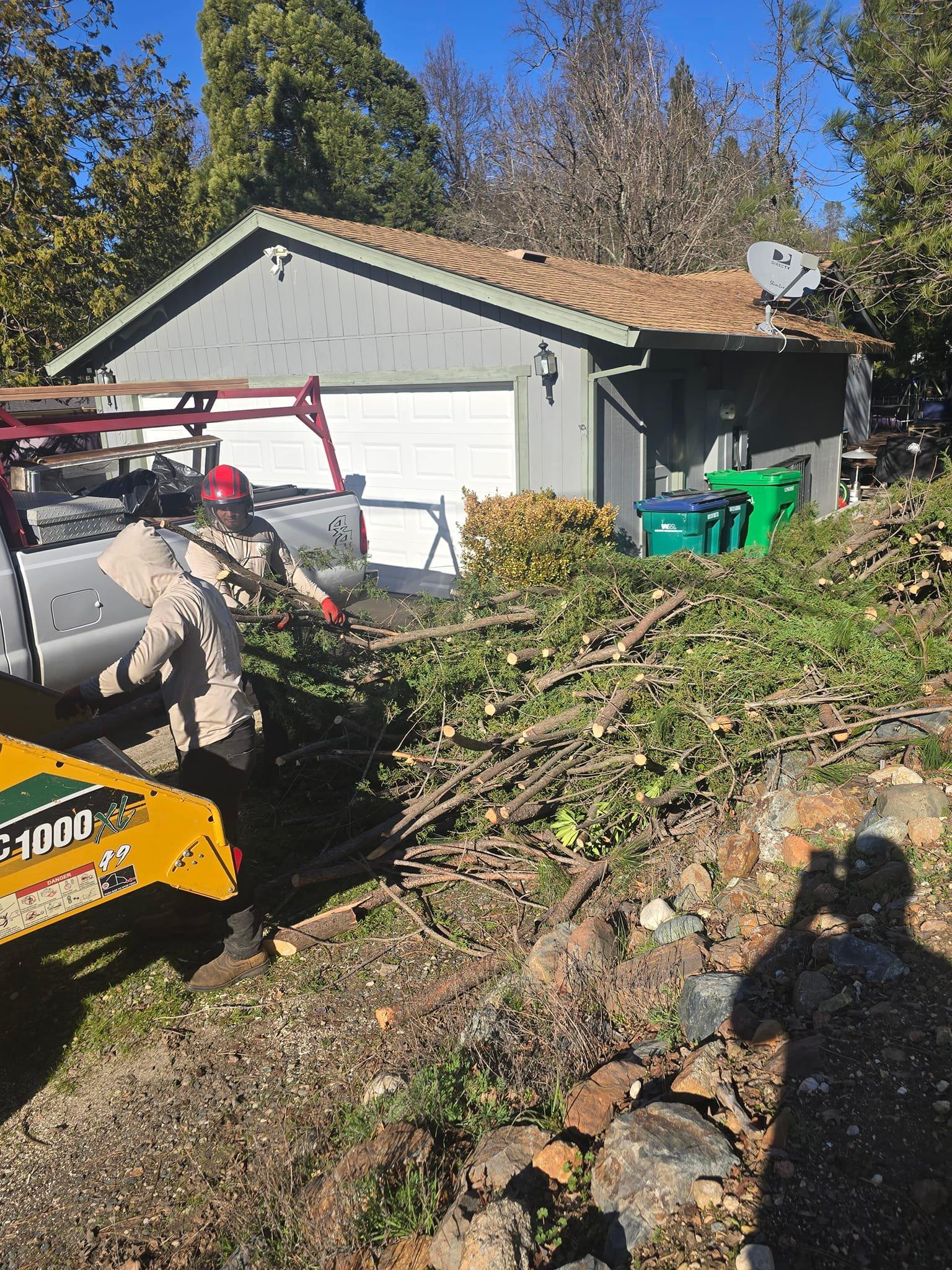 Terra Heights crew feeding cut limbs into a chipper beside a foothills garage