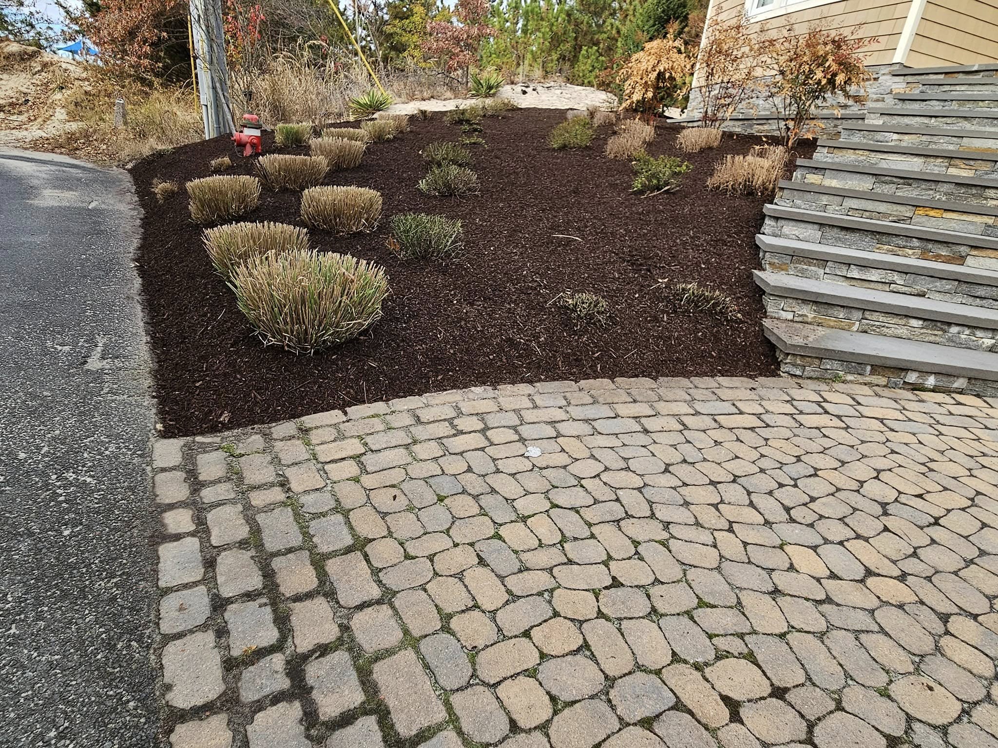  for New Dawn Landscaping LLC in Georgetown, DE