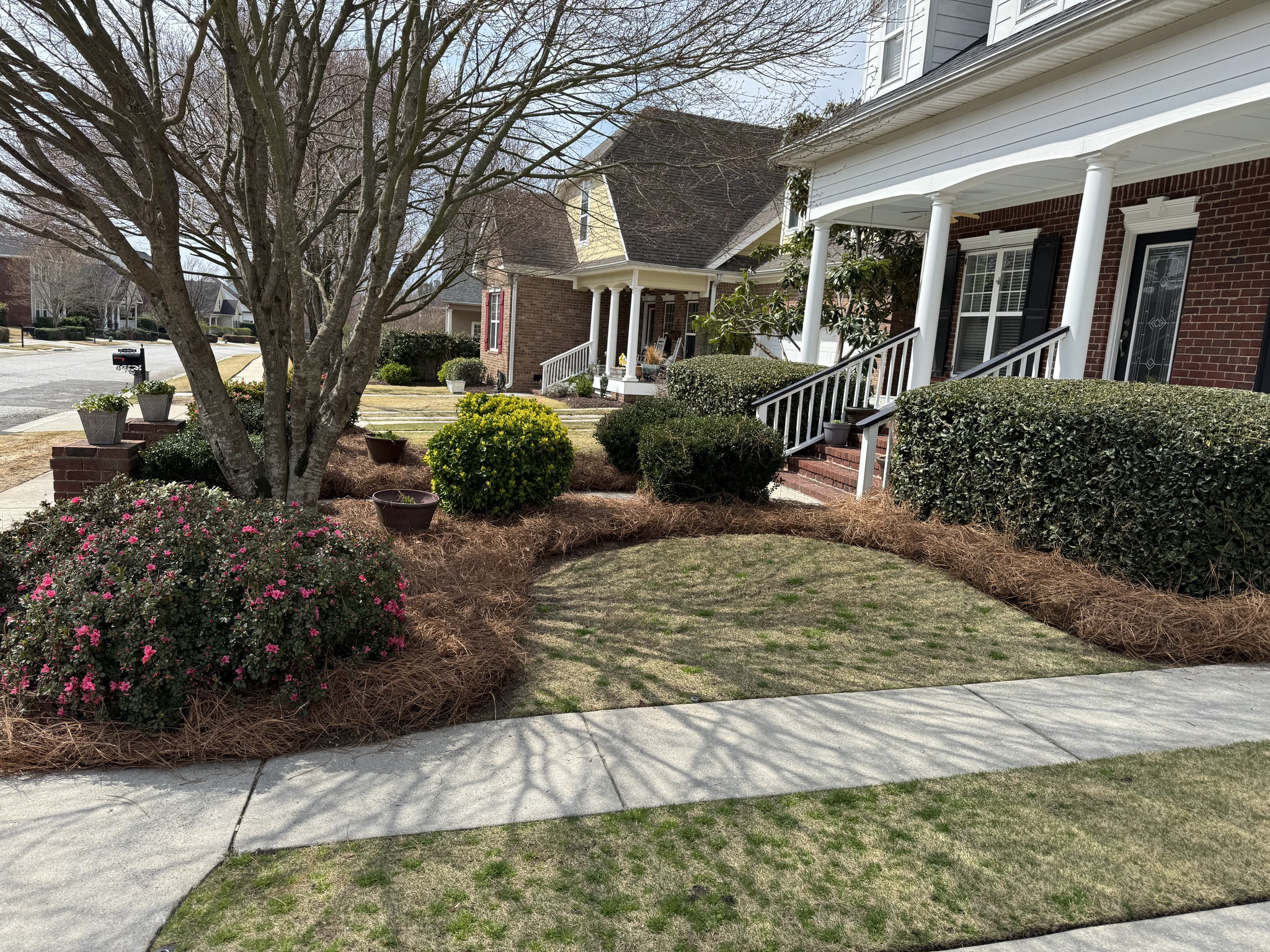  for Myles Mows in Augusta, GA