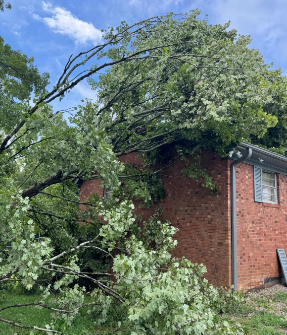  for Patriot Roofing and Home Repair, LLC in Lexington, NC