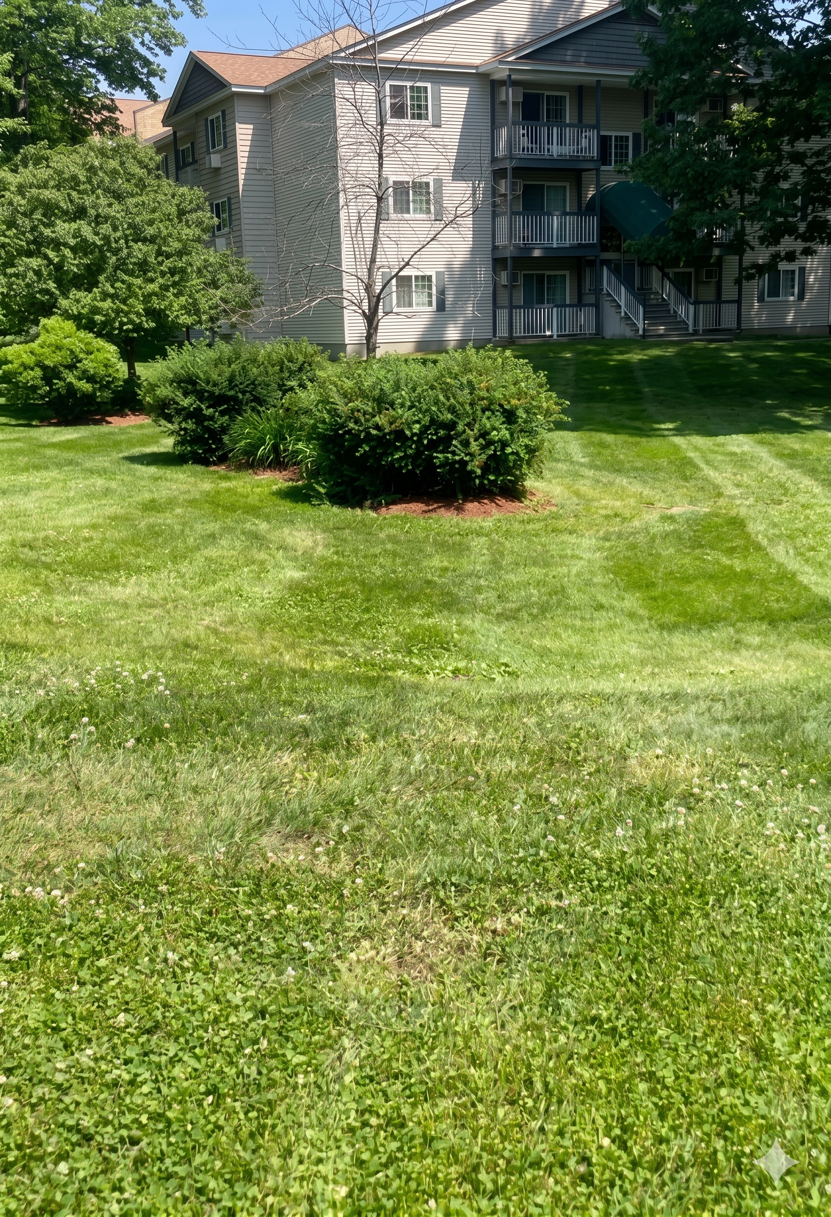  for Martin's Landscaping & Construction in Manchester, NH