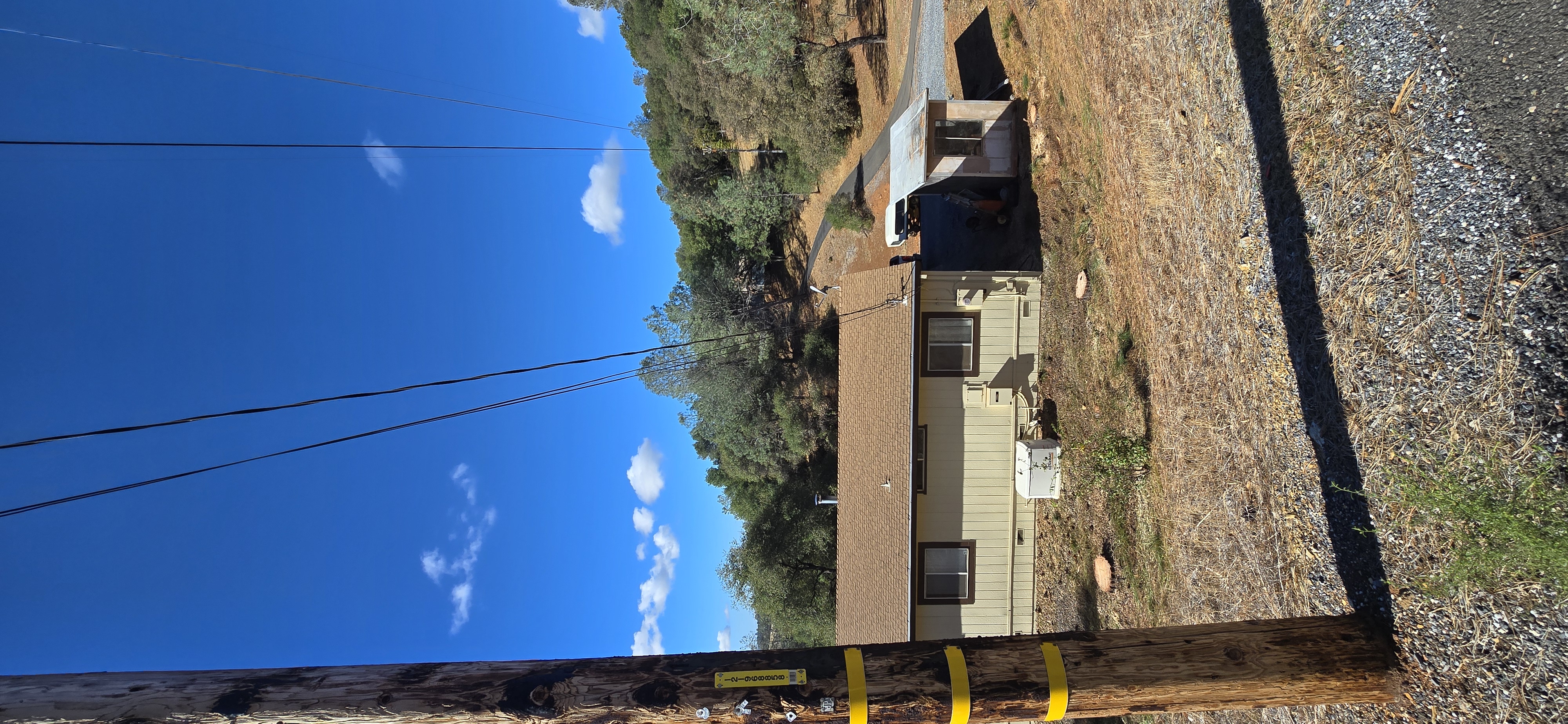  for George Staddan's Professional Tree Care in Placerville, CA