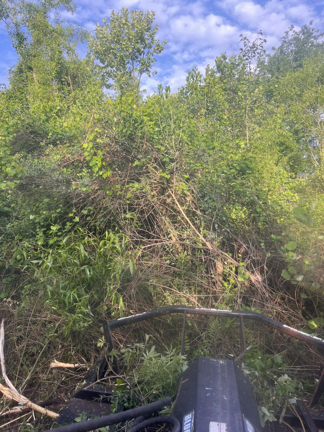  for Pinewood Land Management LLC in Nashville, GA