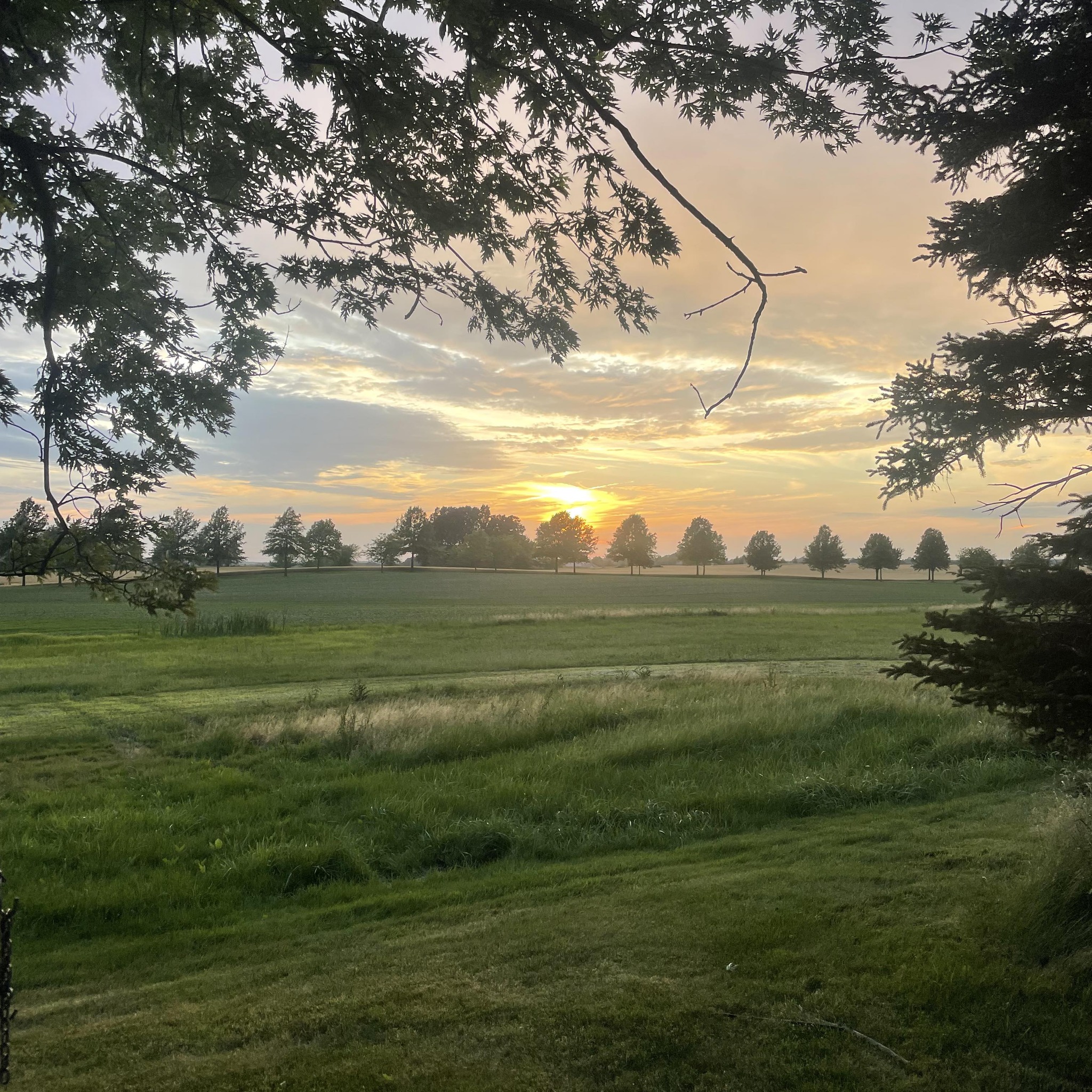 landscaping company Panovich Landscape & Snow Removal LLC in Akron, OH