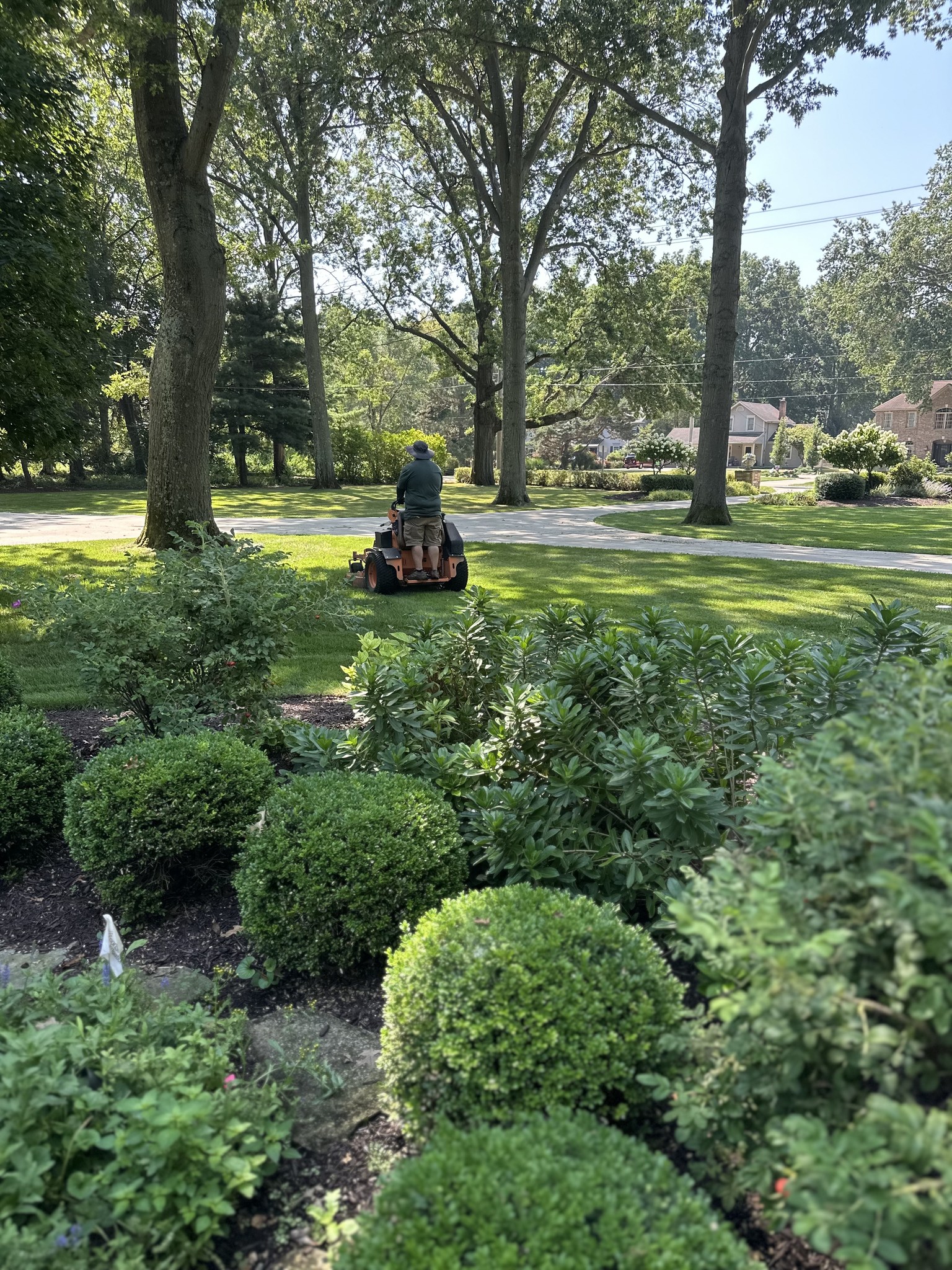  for Newtons Lawncare LLC in North Ridgeville, OH