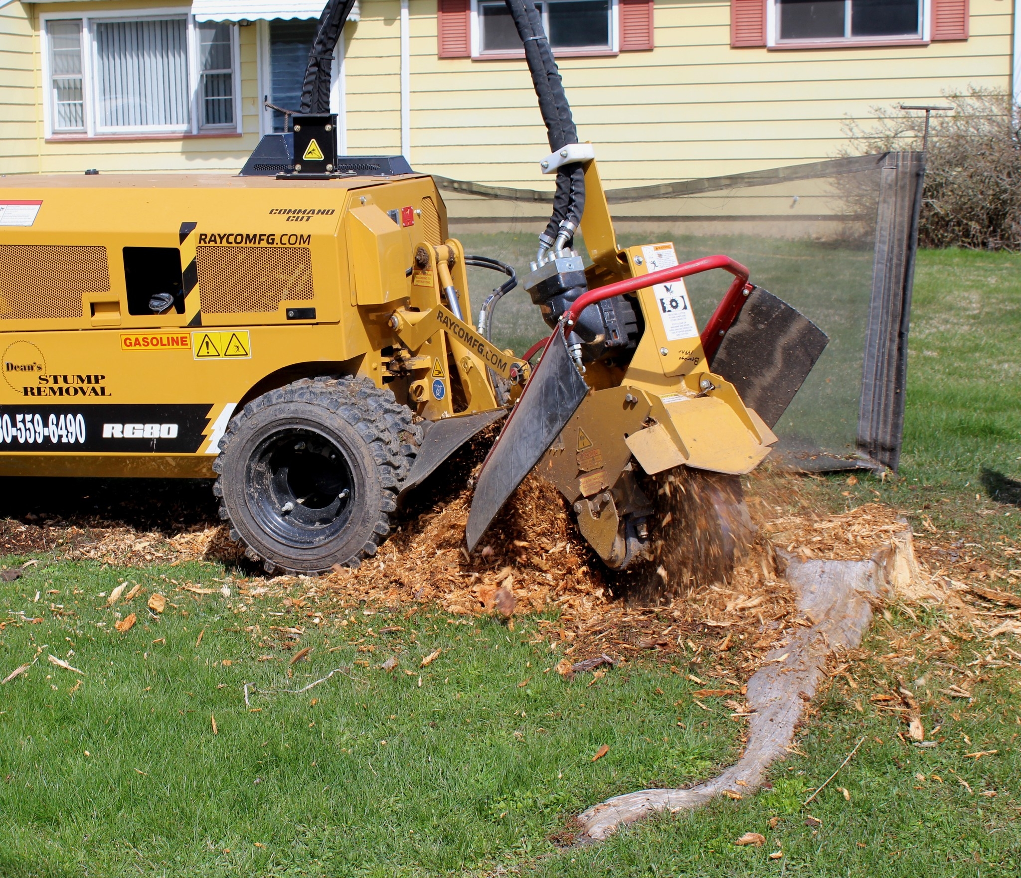 Tree Service company Dean's Stump Removal in Youngstown, OH