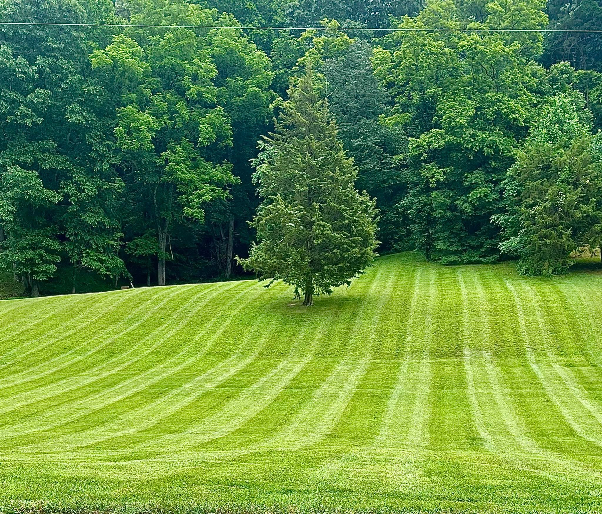  for Diamond Lawn & Land Maintenance in Jonesborough, TN