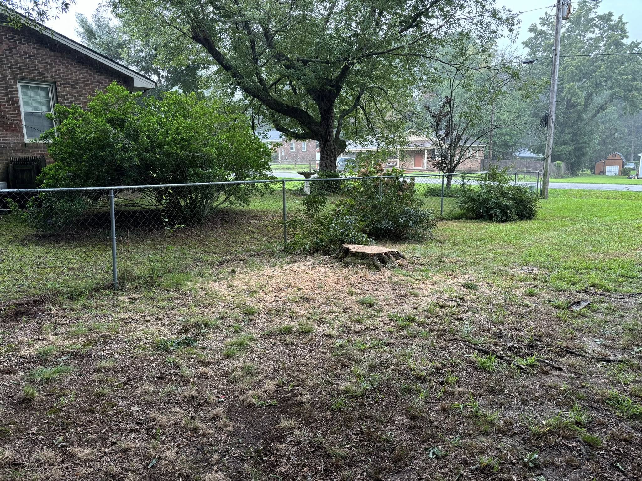  for Total Tree Care in Erwin, North Carolina