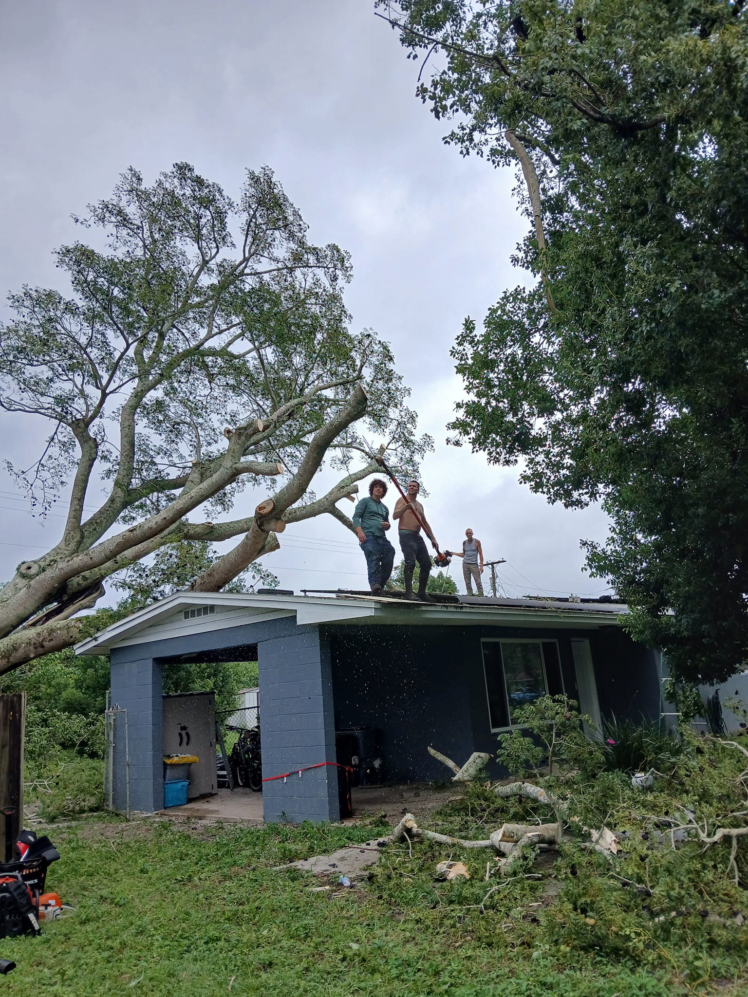  for A Southern Style Tree Service in Orlando, FL
