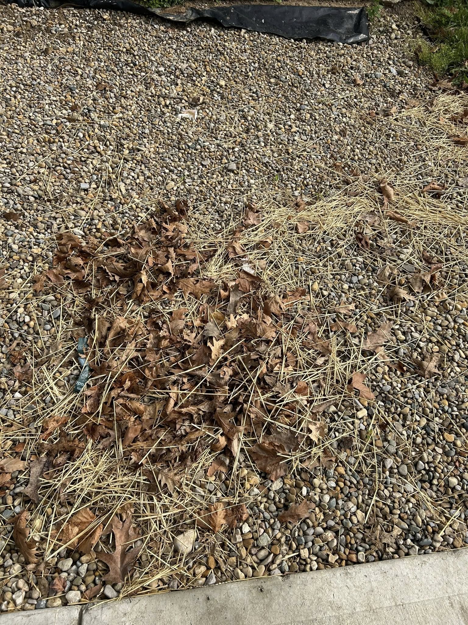  for Plenty Landscaping Solutions in Indianapolis, IN