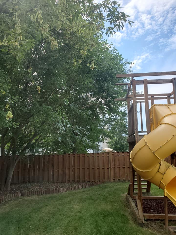  for Henry's Lawn Care in Rockford, IL