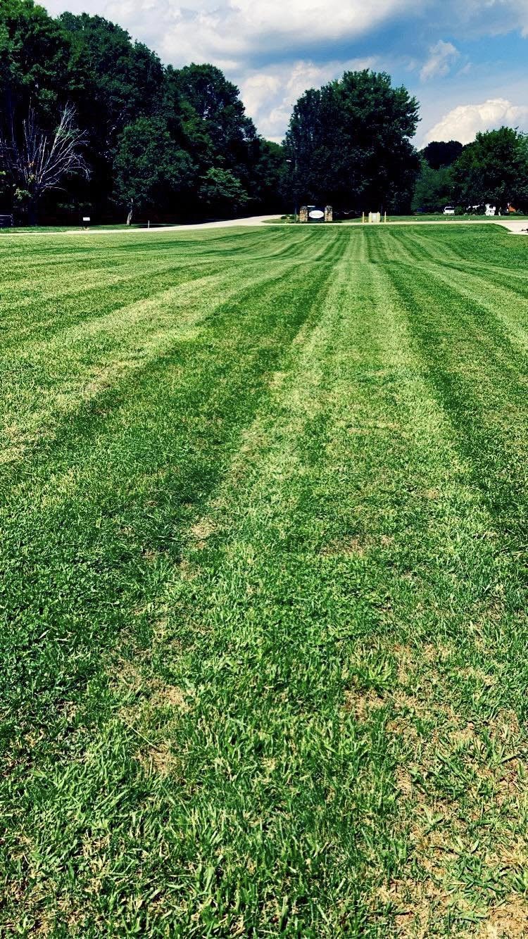  for Taylormade Lawn Management in Clarkesville, GA