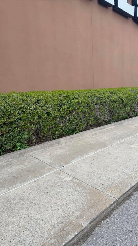  for The Right Price Right Choice Lawn Care Services in Murfreesboro, TN