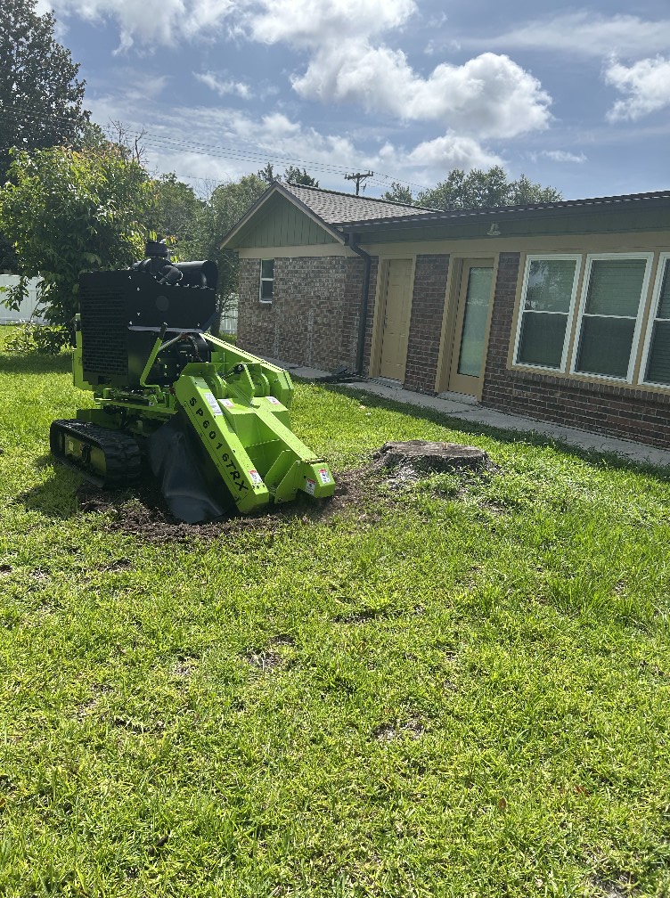  for Stumps done right LLC in Middleburg, FL