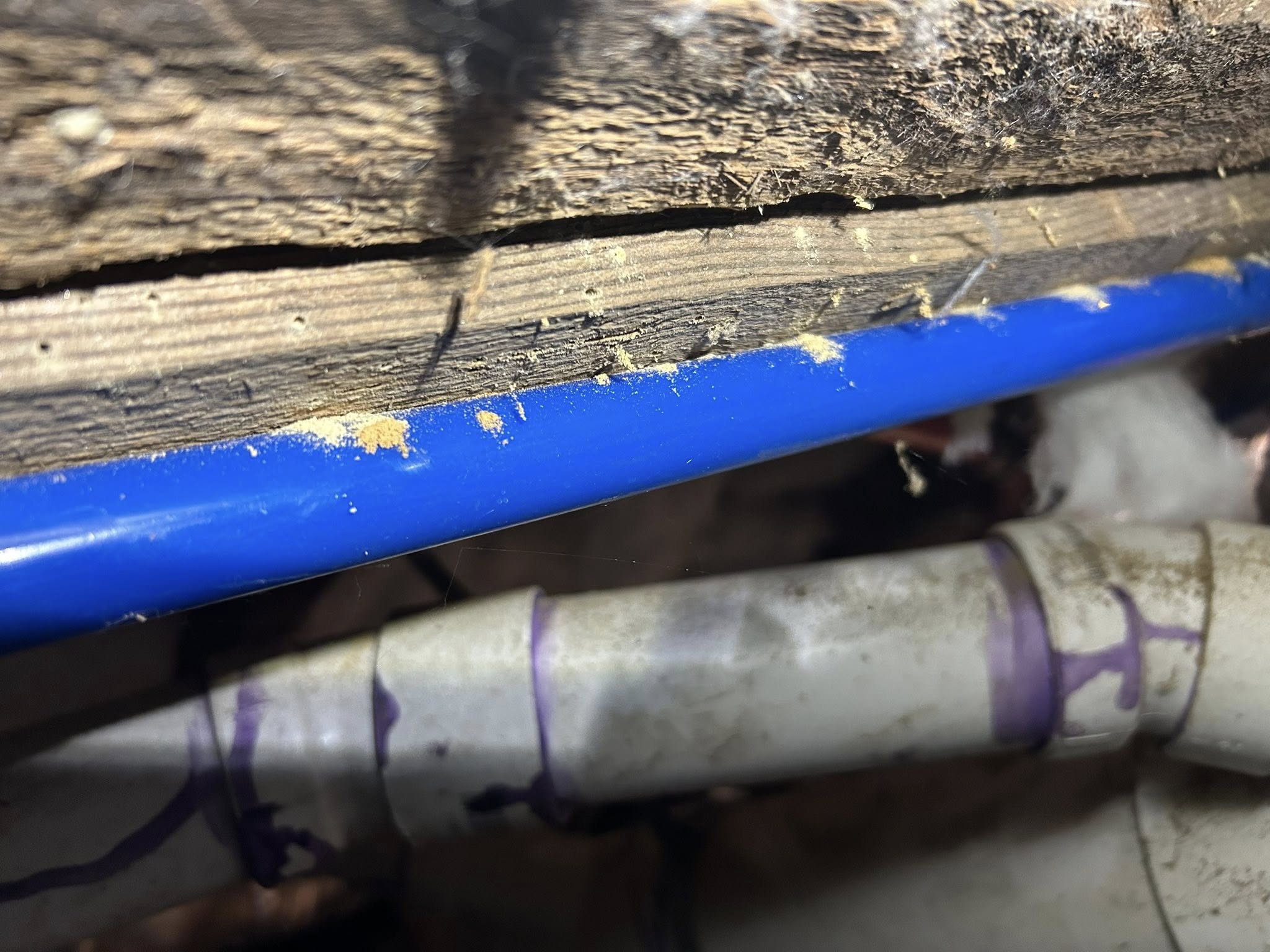  for Winecoff Pest Control in Salisbury, NC