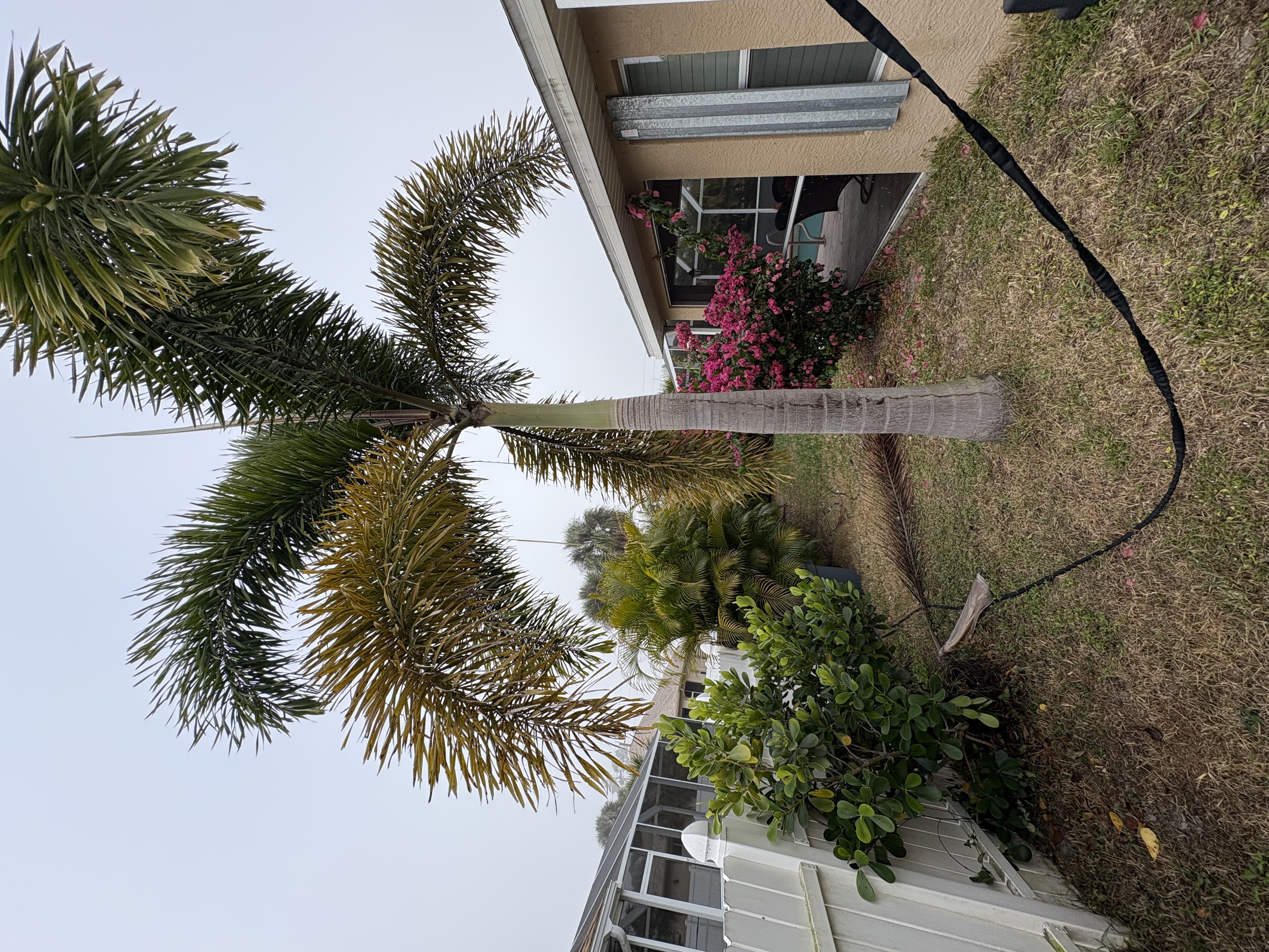  for R&R GreenWorks in North Port, FL