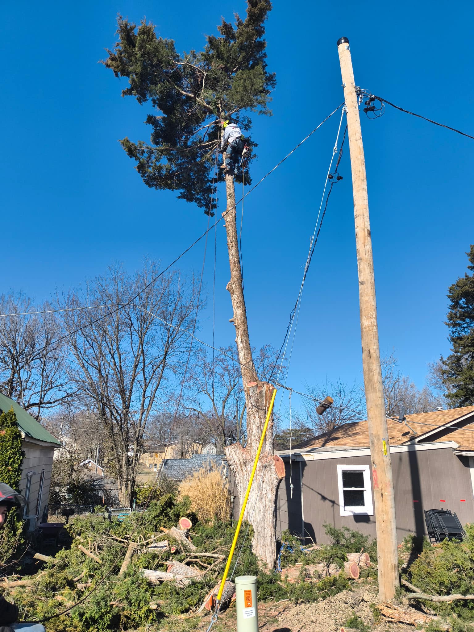Tree Services company Cross Family Tree Service in Kearney, MO