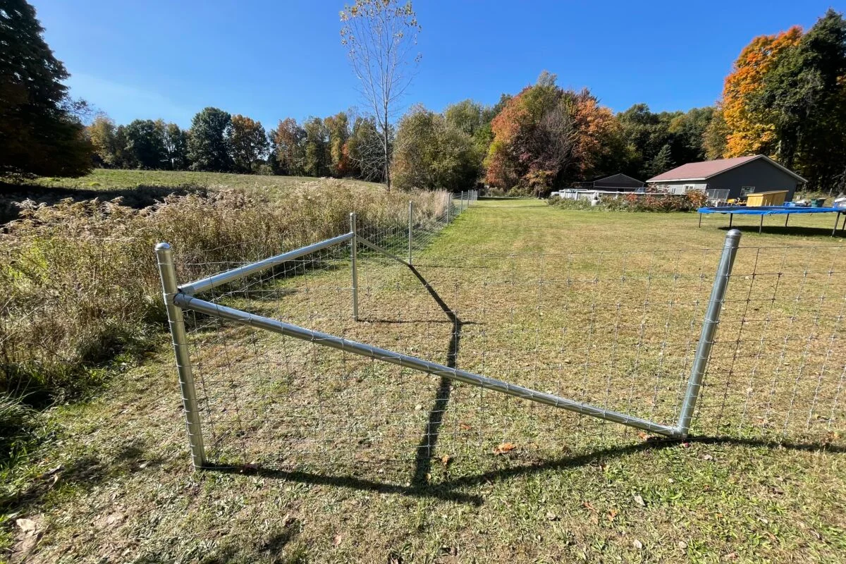  for TMF Services in Lapeer County, MI