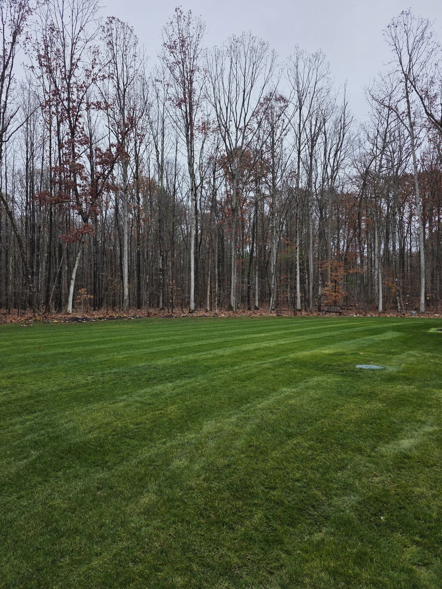  for Sweet Scapes in Ballston Spa, NY