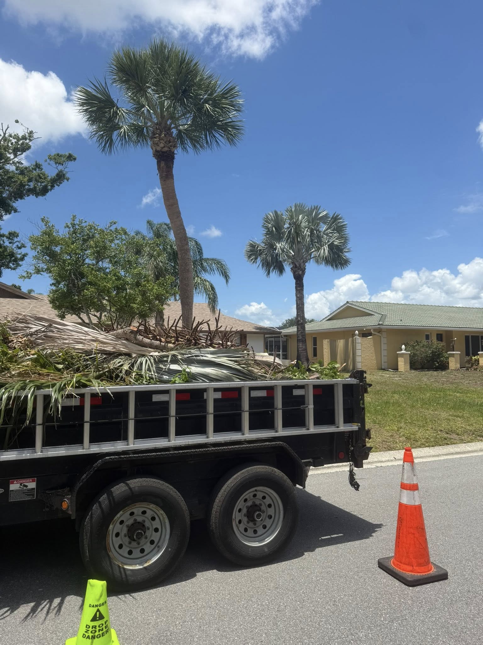  for Damian’s Tree Care in Sarasota, FL