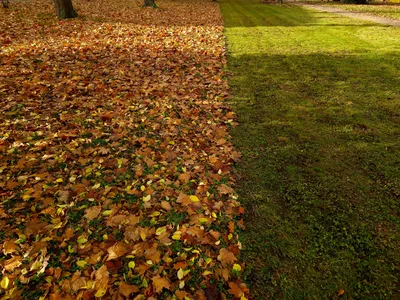 cover-photo