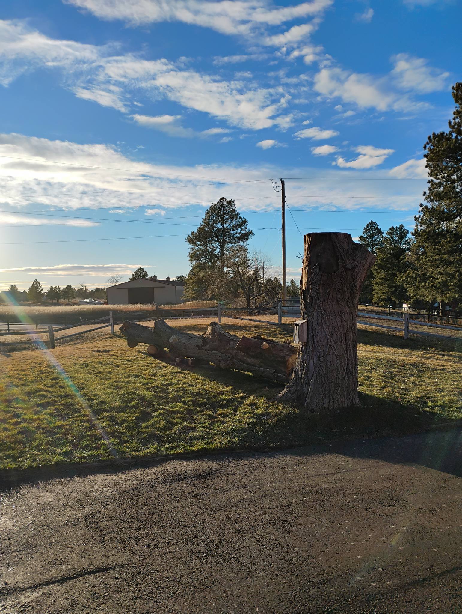 Sloan Tree Service team in Aurora, CO - people or person