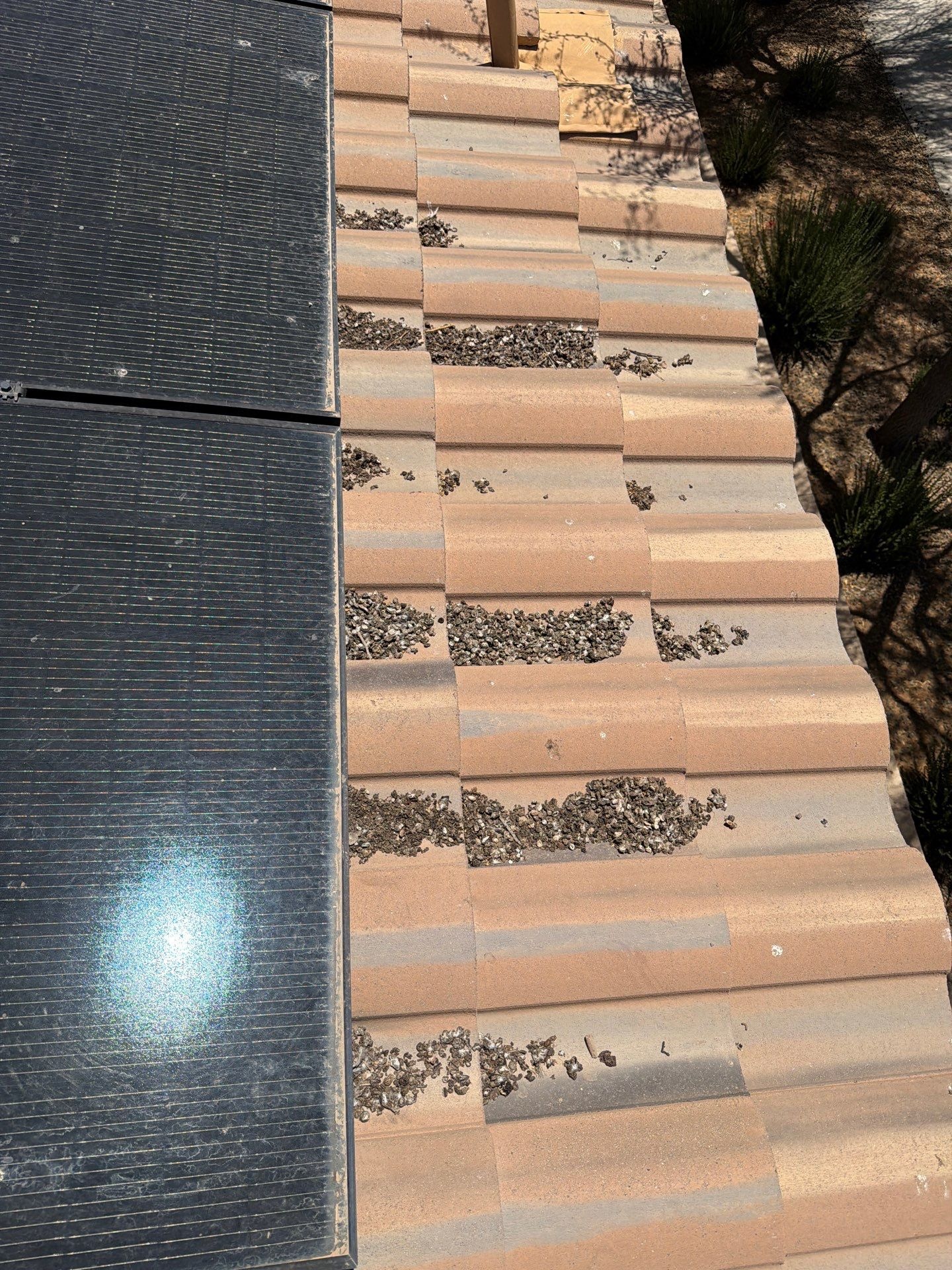  for Olson & Sons Contracting in Mesa, AZ