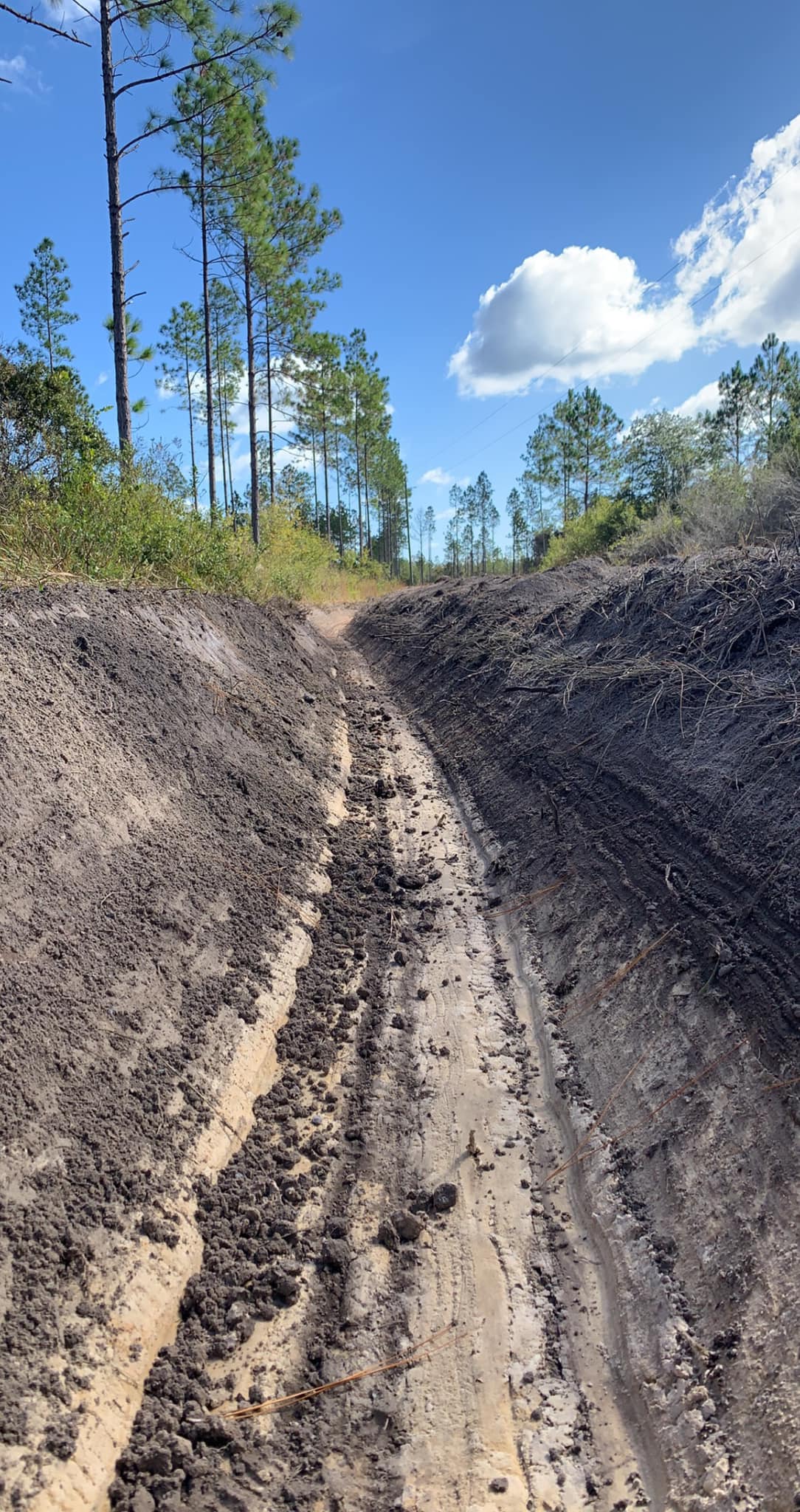  for Wilson’s Excavation & Land Clearing in Greenville, FL