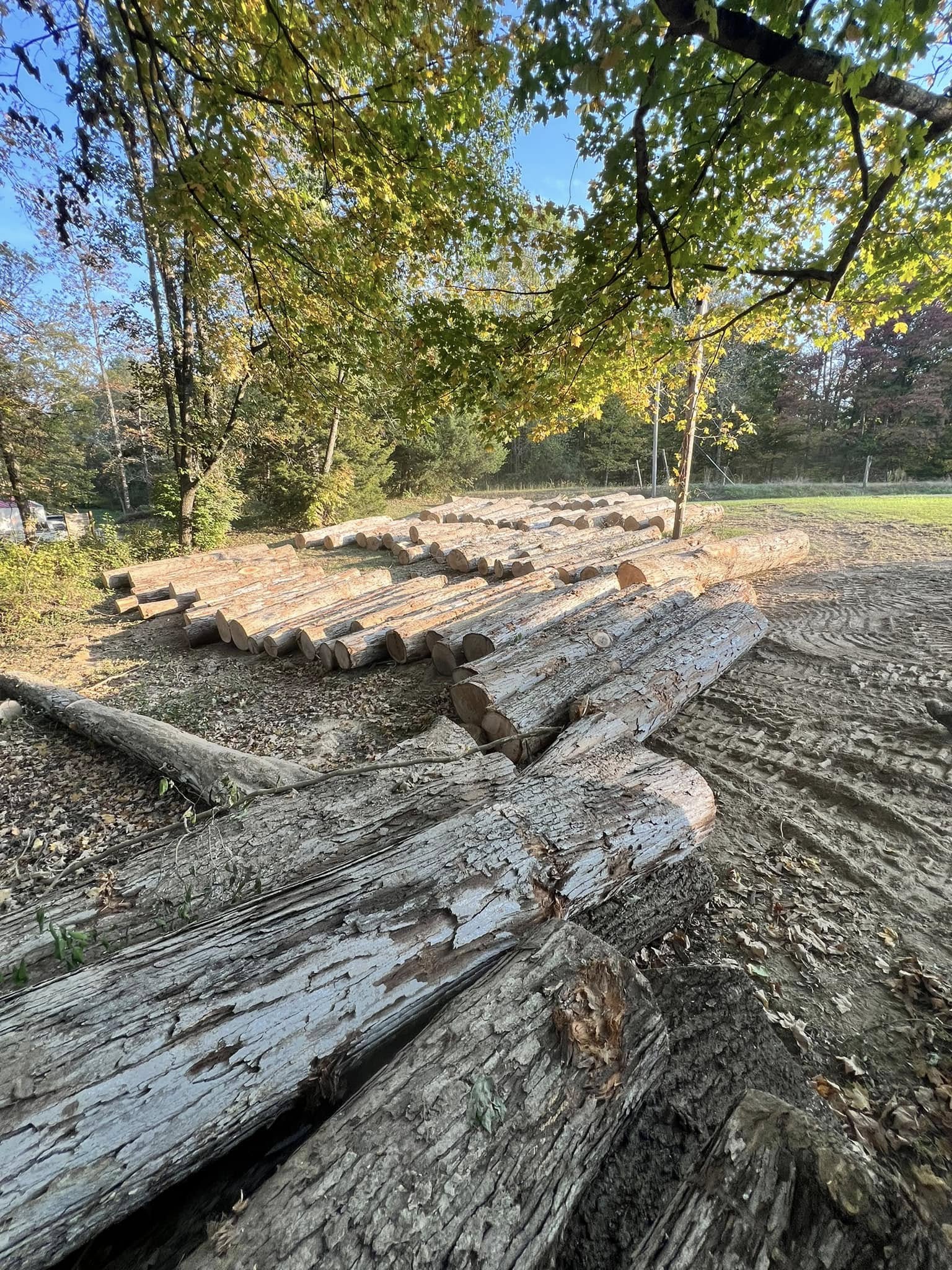 Tree Service company Kadin’s Tree Service in North Vernon, IN