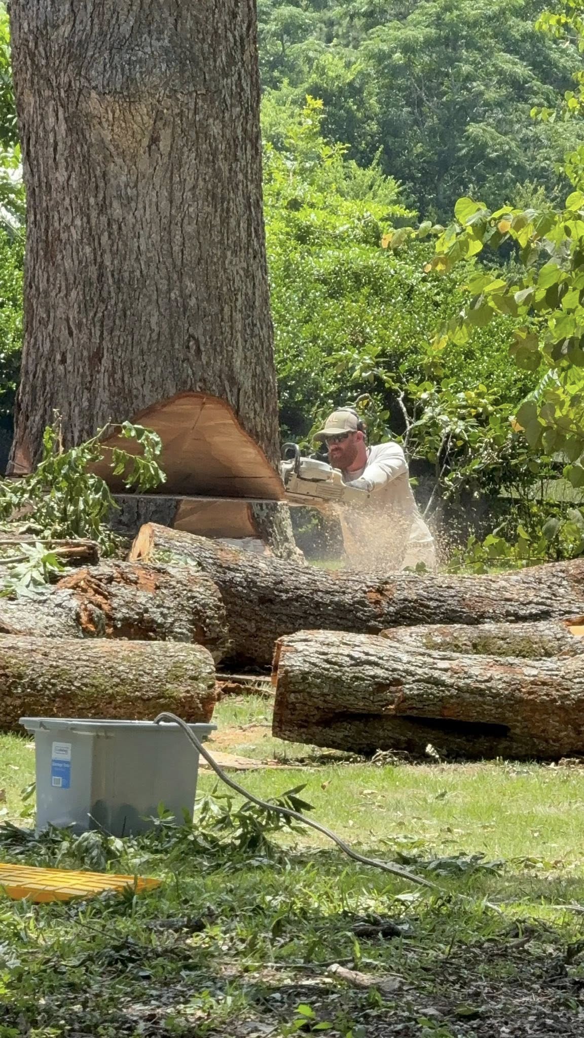  for T N L - Tree and Land Service in Reynolds, GA