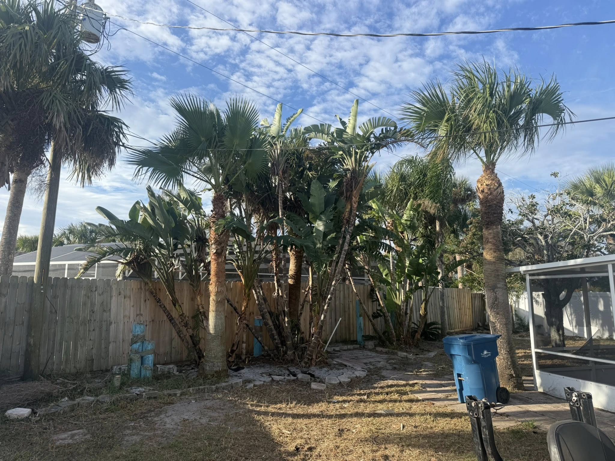  for Grind Time Tree Service in Daytona, FL