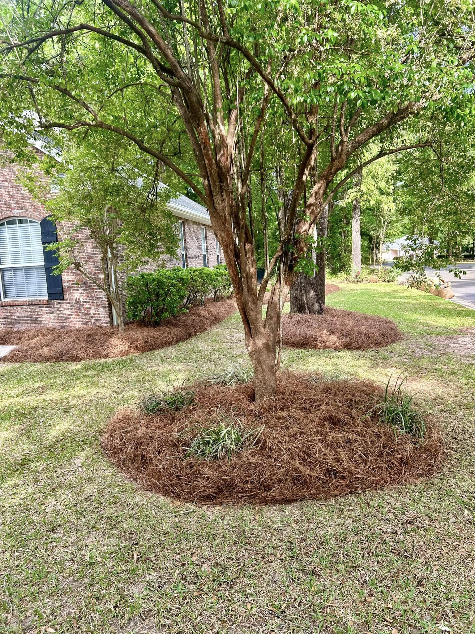  for Old Florida Lawncare in Baker, FL